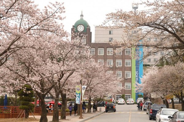 Top 5 trường đại học hàng đầu tại Hàn Quốc 