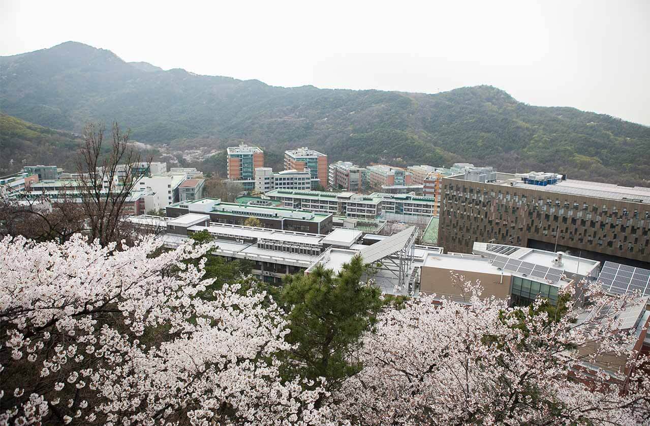Đại học quốc gia Seoul Hàn Quốc
