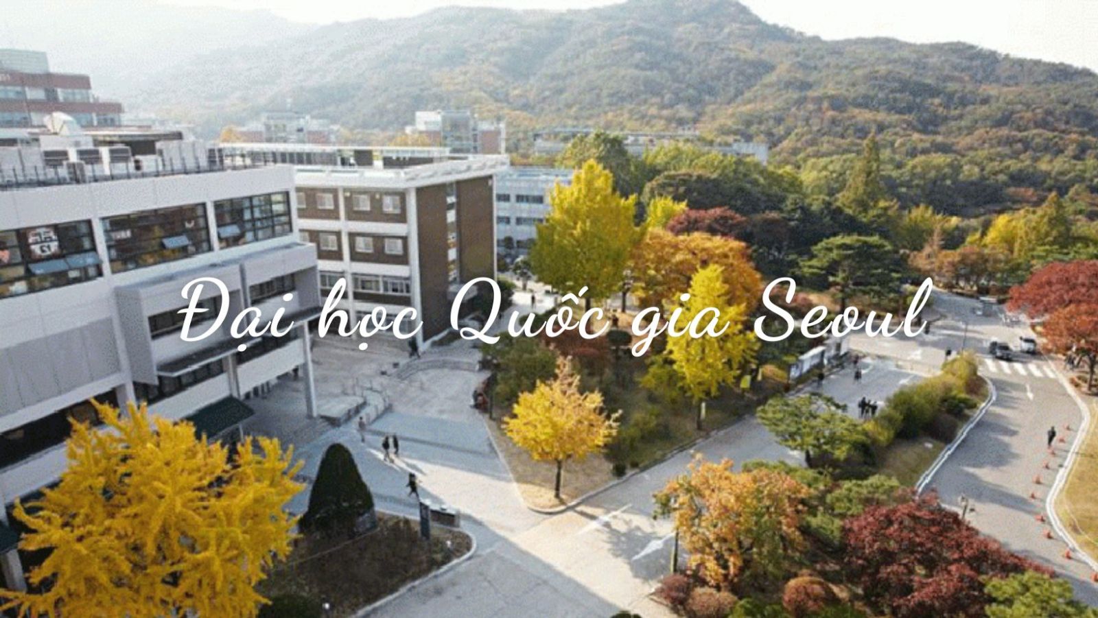 Trường Đại học Quốc gia Seoul Hàn Quốc