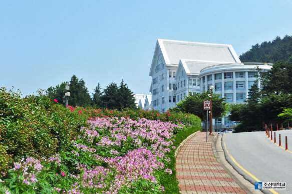 Trường Đại học Chosun Hàn Quốc
