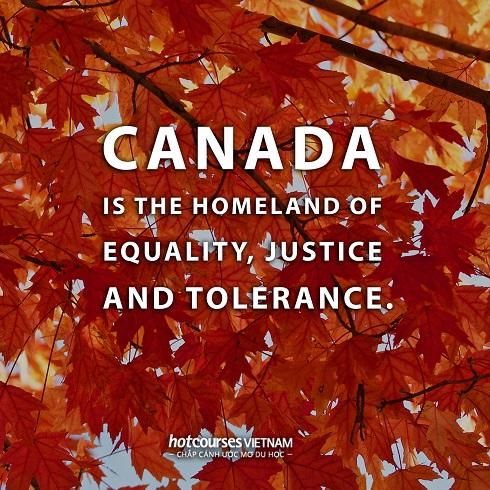 Du học Canada: Có nên hay không?