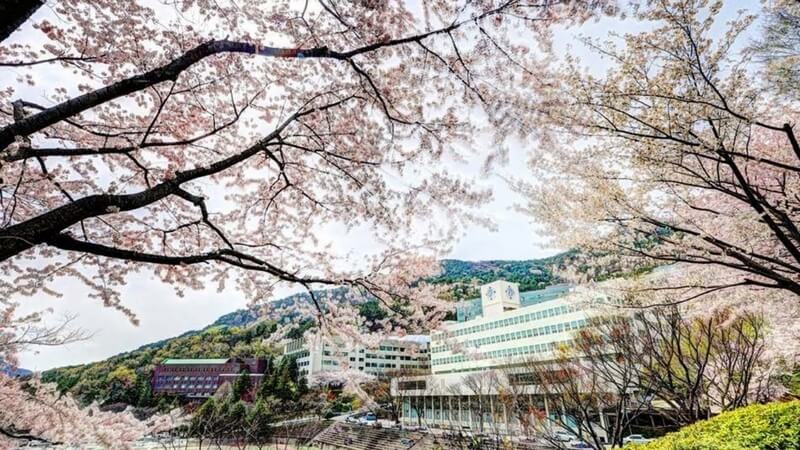 Thành phố Busan một nơi thu hút nhiều du học sinh quốc tế