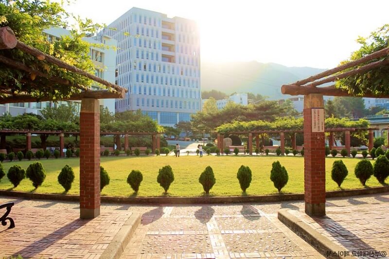 Du học Hàn Quốc trường Đại học khoa học và công nghệ Busan